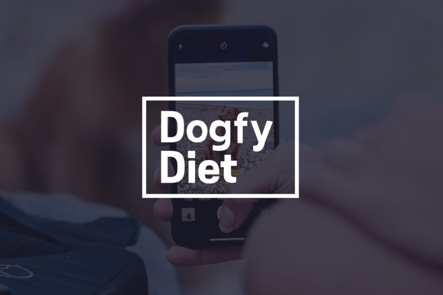 Más control, más impacto: cómo DogfyDiet transformó sus datos en insights accionables